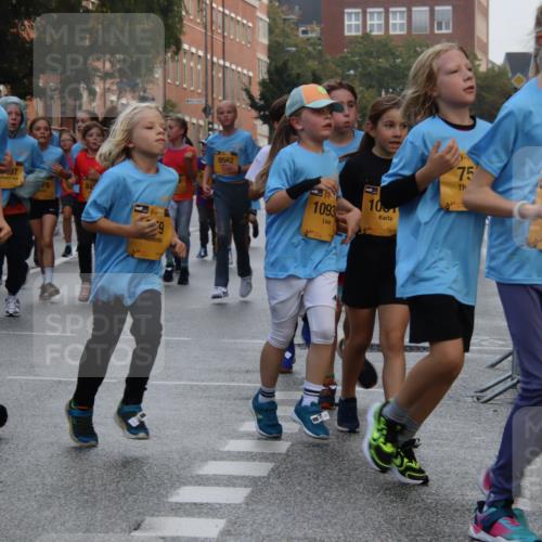 13.09.2026 - Kiel Lauf Markus Tischler http://msf.ph/oto/10449019 13.09.2026 08:55:47 Fleethörn 4, 1897, 78, 84, 9562, 1093, 100, 75, 31, 10 meine-sportfotos.de