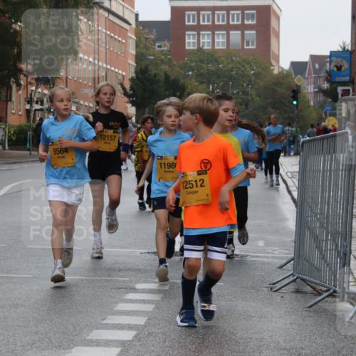 13.09.2026 - Kiel Lauf Markus Tischler http://msf.ph/oto/10449071 13.09.2026 08:56:11 Fleethörn 12147, 9564, 12157, 39, 1198, 3, 38, 12512 meine-sportfotos.de
