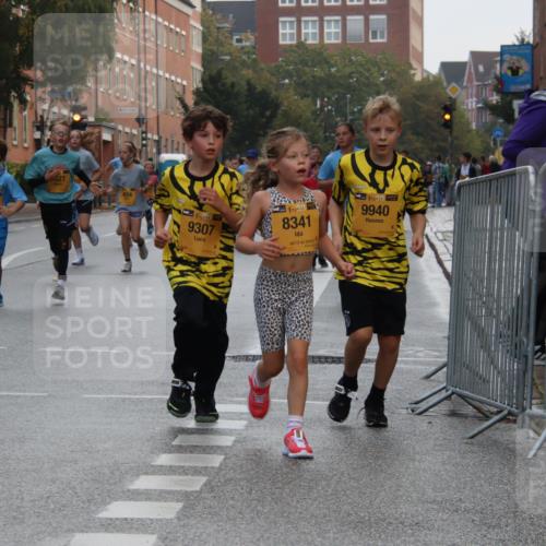 13.09.2026 - Kiel Lauf Markus Tischler http://msf.ph/oto/10449080 13.09.2026 08:56:17 Fleethörn 611, 10213, 9307, 8341, 38, 9940 meine-sportfotos.de