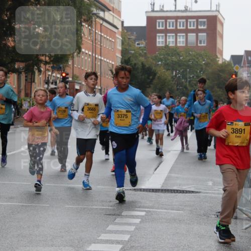 13.09.2026 - Kiel Lauf Markus Tischler http://msf.ph/oto/10449113 13.09.2026 08:56:29 Fleethörn 611, 7479, 5003, 2128, 3665, 5244, 9372, 11673, 3375, 38, 3891 meine-sportfotos.de