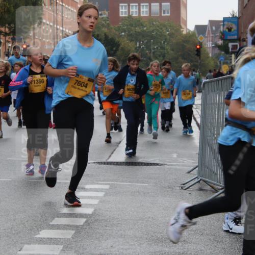 13.09.2026 - Kiel Lauf Markus Tischler http://msf.ph/oto/10449163 13.09.2026 08:56:45 Fleethörn 4382, 39, 1356, 4, 39, 7604, 10876, 9620, 6459, 5219 meine-sportfotos.de