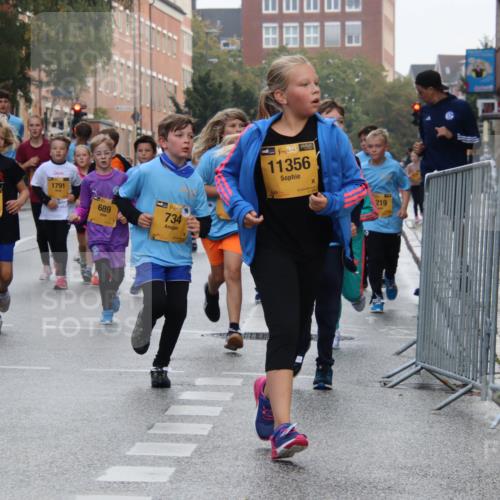 13.09.2026 - Kiel Lauf Markus Tischler http://msf.ph/oto/10449166 13.09.2026 08:56:47 Fleethörn 4382, 1791, 689, 734, 38, 11356, 219 meine-sportfotos.de