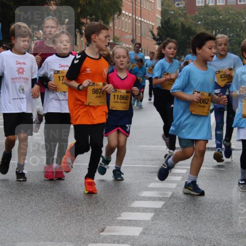 13.09.2026 - Kiel Lauf Markus Tischler http://msf.ph/oto/10449192 13.09.2026 08:56:52 Fleethörn 999, 17, 9870, 39, 11860, 38, 062, 432, 38, 6459 meine-sportfotos.de