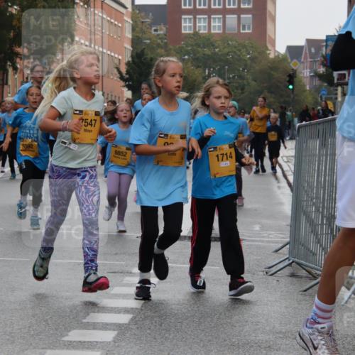 13.09.2026 - Kiel Lauf Markus Tischler http://msf.ph/oto/10449202 13.09.2026 08:56:57 Fleethörn 4185, 5092, 38, 7547, 9852, 38, 38, 1714, 59 meine-sportfotos.de