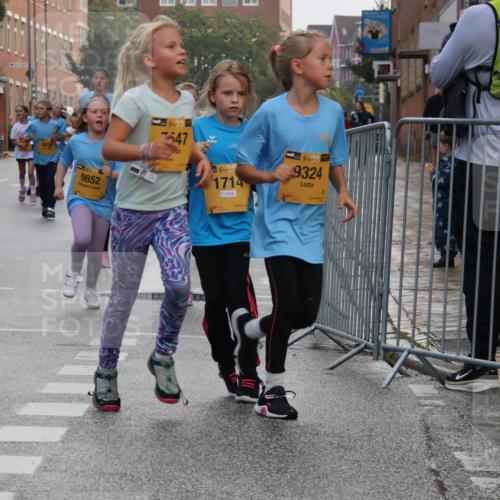 13.09.2026 - Kiel Lauf Markus Tischler http://msf.ph/oto/10449208 13.09.2026 08:56:58 Fleethörn 698, 5092, 9852, 7547, 212, 4, 38, 1714, 38, 9324 meine-sportfotos.de