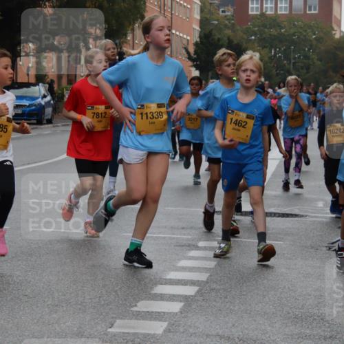 13.09.2026 - Kiel Lauf Markus Tischler http://msf.ph/oto/10449257 13.09.2026 08:57:14 Fleethörn 1783, 35, 9585, 611, 391, 7812, 39, 11339, 3217, 1394, 1462, 4025, 4, 38, 10242, 10890 meine-sportfotos.de