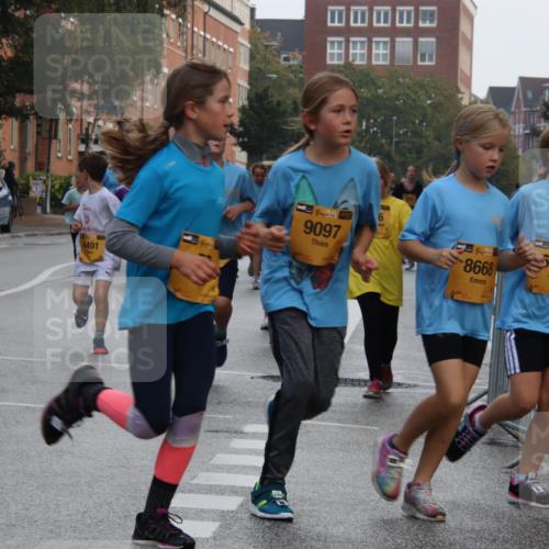 13.09.2026 - Kiel Lauf Markus Tischler http://msf.ph/oto/10449274 13.09.2026 08:57:22 Fleethörn 7576, 018, 4491, 38, 6, 9097, 39, 8668, 38, 5666 meine-sportfotos.de