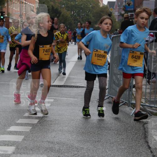 13.09.2026 - Kiel Lauf Markus Tischler http://msf.ph/oto/10449291 13.09.2026 08:57:28 Fleethörn 10426, 7407, 5895, 10899, 1, 39, 6428 meine-sportfotos.de