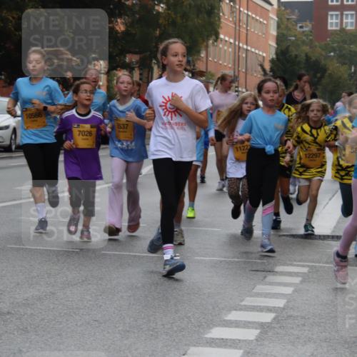13.09.2026 - Kiel Lauf Markus Tischler http://msf.ph/oto/10449297 13.09.2026 08:57:29 Fleethörn 7031, 10566, 7026, 537, 1122, 12297, 58, 11924 meine-sportfotos.de