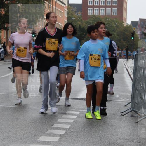 13.09.2026 - Kiel Lauf Markus Tischler http://msf.ph/oto/10449310 13.09.2026 08:57:34 Fleethörn 1, 38, 4965, 611, 6151, 48, 5536, 38, 10426 meine-sportfotos.de