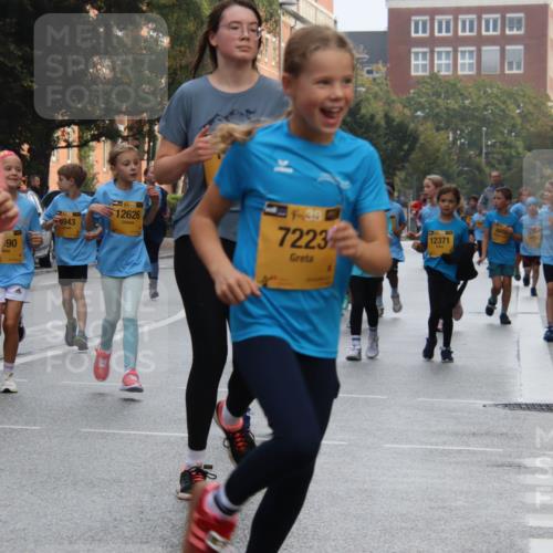 13.09.2026 - Kiel Lauf Markus Tischler http://msf.ph/oto/10449359 13.09.2026 08:58:18 Fleethörn 38, 12004, 90, 6943, 12626, 38, 7223, 12371, 38, 7981 meine-sportfotos.de