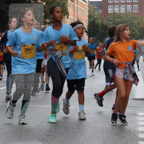 13.09.2026 - Kiel Lauf Markus Tischler http://msf.ph/oto/10449388 13.09.2026 08:58:28 Fleethörn 11, 1, 38, 2906, 3867, 72, 38, 3865, 38, 3545 meine-sportfotos.de