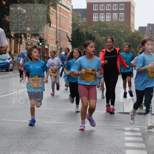 13.09.2026 - Kiel Lauf Markus Tischler http://msf.ph/oto/10449436 13.09.2026 08:58:48 Fleethörn 38, 8932, 6606, 38, 2586, 353 meine-sportfotos.de