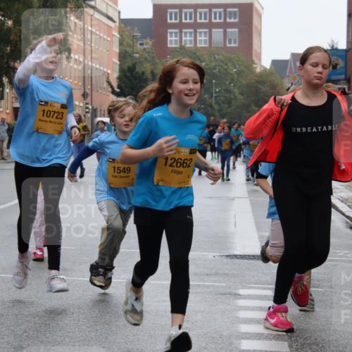 13.09.2026 - Kiel Lauf Markus Tischler http://msf.ph/oto/10449445 13.09.2026 08:58:51 Fleethörn 6271, 38, 10723, 1549, 38, 12662 meine-sportfotos.de