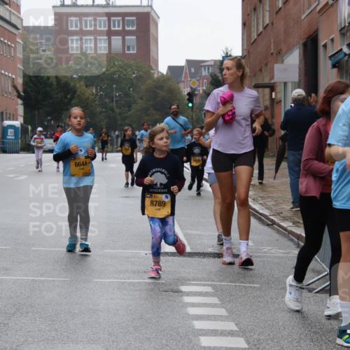 13.09.2026 - Kiel Lauf Markus Tischler http://msf.ph/oto/10449633 13.09.2026 09:01:08 Fleethörn 6644, 38, 8789, 1391, 7853 meine-sportfotos.de