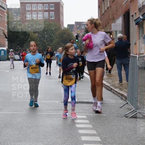 13.09.2026 - Kiel Lauf Markus Tischler http://msf.ph/oto/10449636 13.09.2026 09:01:08 Fleethörn 6644, 39, 8789 meine-sportfotos.de