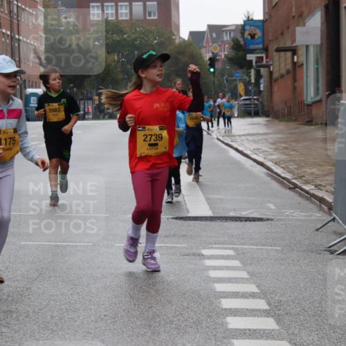 13.09.2026 - Kiel Lauf Markus Tischler http://msf.ph/oto/10449651 13.09.2026 09:01:28 Fleethörn 39, 1175, 5983, 38, 2739, 1830 meine-sportfotos.de