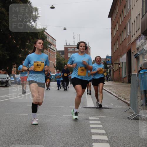 13.09.2026 - Kiel Lauf Markus Tischler http://msf.ph/oto/10451677 13.09.2026 09:45:57 Fleethörn 1, 39, 442, 288 meine-sportfotos.de