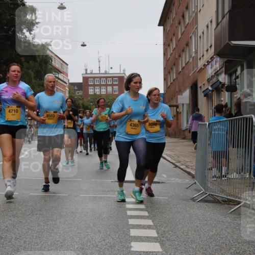 13.09.2026 - Kiel Lauf Markus Tischler http://msf.ph/oto/10451952 13.09.2026 09:47:17 Fleethörn 4710, 8503, 6078, 4365, 8096 meine-sportfotos.de