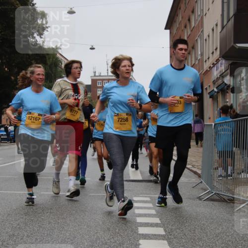 13.09.2026 - Kiel Lauf Markus Tischler http://msf.ph/oto/10451977 13.09.2026 09:47:25 Fleethörn 12167, 8777, 2, 1139, 39, 7258, 03 meine-sportfotos.de