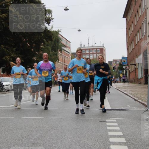 13.09.2026 - Kiel Lauf Markus Tischler http://msf.ph/oto/10452080 13.09.2026 09:48:08 Fleethörn 02, 559, 2852, 1561 meine-sportfotos.de