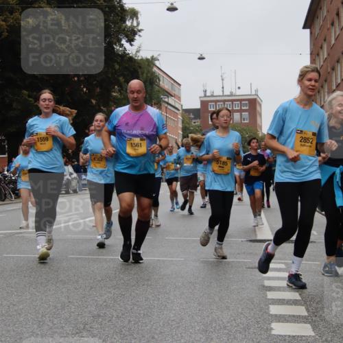 13.09.2026 - Kiel Lauf Markus Tischler http://msf.ph/oto/10452091 13.09.2026 09:48:10 Fleethörn 126, 1559, 6362, 1561, 5185, 2852 meine-sportfotos.de
