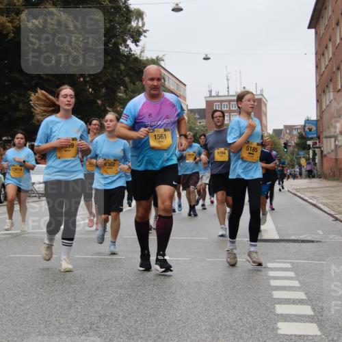 13.09.2026 - Kiel Lauf Markus Tischler http://msf.ph/oto/10452094 13.09.2026 09:48:10 Fleethörn 12614, 7559, 6362, 1561, 5784, 5185, 2852 meine-sportfotos.de