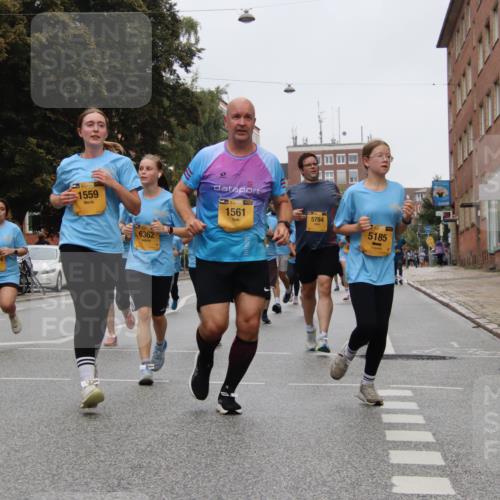 13.09.2026 - Kiel Lauf Markus Tischler http://msf.ph/oto/10452096 13.09.2026 09:48:10 Fleethörn 12614, 38, 1559, 6362, 1561, 5784, 39, 5185 meine-sportfotos.de
