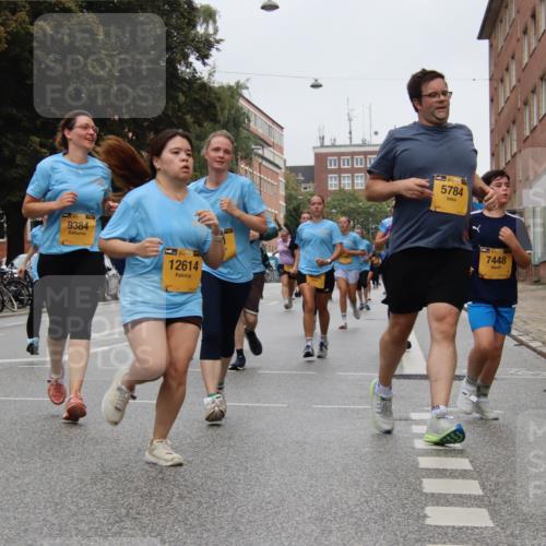 13.09.2026 - Kiel Lauf Markus Tischler http://msf.ph/oto/10452106 13.09.2026 09:48:13 Fleethörn 39, 9384, 39, 12614, 320, 5784, 7448 meine-sportfotos.de