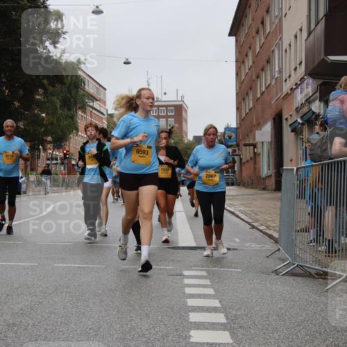 13.09.2026 - Kiel Lauf Markus Tischler http://msf.ph/oto/10452139 13.09.2026 09:48:25 Fleethörn 9219, 341, 6593, 7937, 2867 meine-sportfotos.de