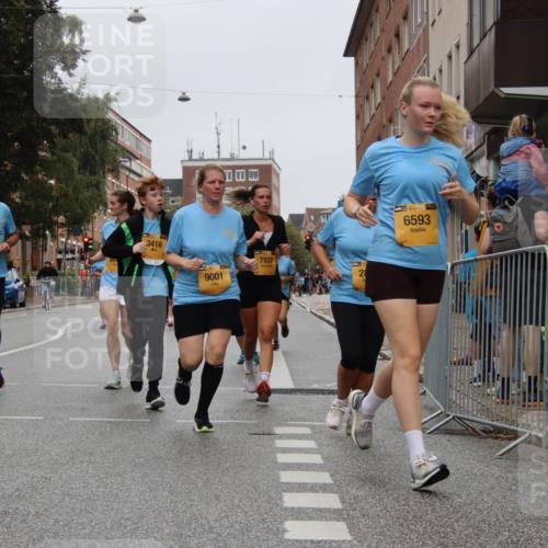 13.09.2026 - Kiel Lauf Markus Tischler http://msf.ph/oto/10452147 13.09.2026 09:48:26 Fleethörn 9219, 3418, 9001, 7937, 28, 38, 6593 meine-sportfotos.de