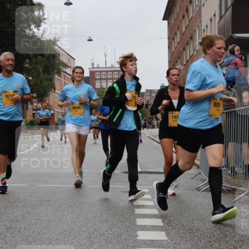 13.09.2026 - Kiel Lauf Markus Tischler http://msf.ph/oto/10452153 13.09.2026 09:48:28 Fleethörn 1394, 9219, 8844, 18, 793, 9001 meine-sportfotos.de