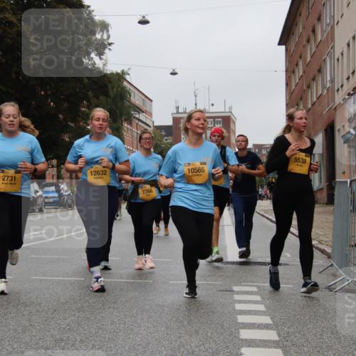 13.09.2026 - Kiel Lauf Markus Tischler http://msf.ph/oto/10452266 13.09.2026 09:49:05 Fleethörn 2731, 1, 39, 12632, 2366, 10565, 5538 meine-sportfotos.de