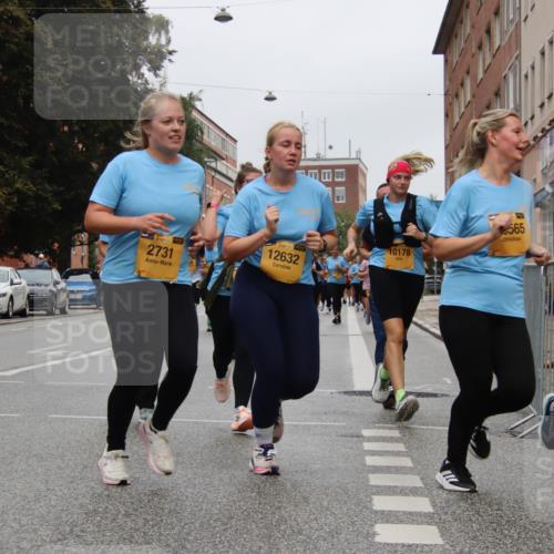 13.09.2026 - Kiel Lauf Markus Tischler http://msf.ph/oto/10452277 13.09.2026 09:49:06 Fleethörn 2731, 12632, 10178, 565 meine-sportfotos.de