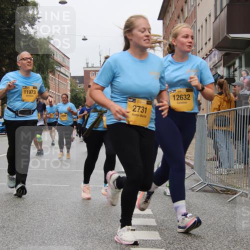 13.09.2026 - Kiel Lauf Markus Tischler http://msf.ph/oto/10452281 13.09.2026 09:49:06 Fleethörn 11973, 2731, 12632, 10990 meine-sportfotos.de