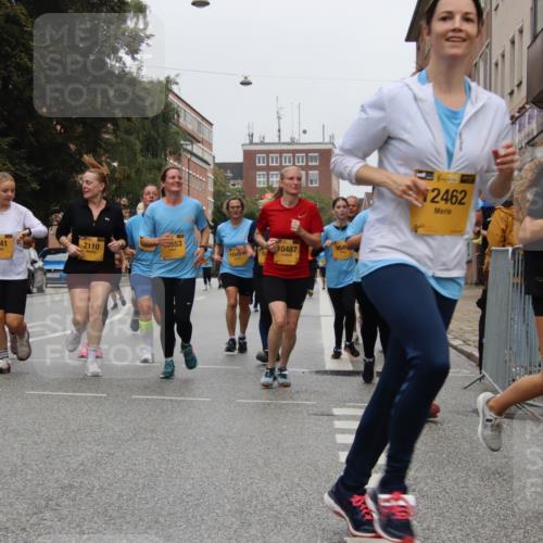 13.09.2026 - Kiel Lauf Markus Tischler http://msf.ph/oto/10452357 13.09.2026 09:49:26 Fleethörn 2110, 7641, 553, 1049, 10487, 2462, 3, 12560 meine-sportfotos.de