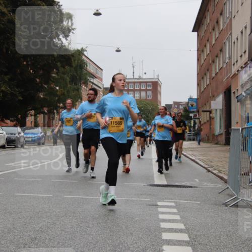 13.09.2026 - Kiel Lauf Markus Tischler http://msf.ph/oto/10452407 13.09.2026 09:49:41 Fleethörn 8890, 1545, 598, 39, 11565 meine-sportfotos.de