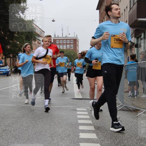13.09.2026 - Kiel Lauf Markus Tischler http://msf.ph/oto/10452451 13.09.2026 09:49:56 Fleethörn 8042, 39, 7585, 6592, 6647, 0371, 7864 meine-sportfotos.de