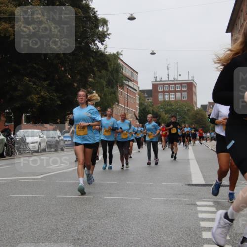 13.09.2026 - Kiel Lauf Markus Tischler http://msf.ph/oto/10452521 13.09.2026 09:50:14 Fleethörn 6336, 10333, 6923 meine-sportfotos.de