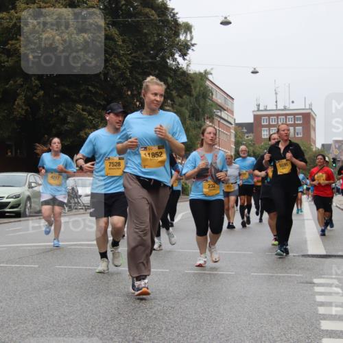 13.09.2026 - Kiel Lauf Markus Tischler http://msf.ph/oto/10452606 13.09.2026 09:50:35 Fleethörn 4217, 7528, 38, 11852, 232, 5595, 2777 meine-sportfotos.de