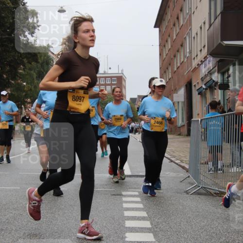 13.09.2026 - Kiel Lauf Markus Tischler http://msf.ph/oto/10452628 13.09.2026 09:50:40 Fleethörn 10626, 9616, 4, 39, 8097, 99, 2002, 2466, 2777 meine-sportfotos.de