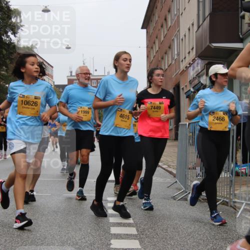 13.09.2026 - Kiel Lauf Markus Tischler http://msf.ph/oto/10452631 13.09.2026 09:50:41 Fleethörn 9616, 1, 38599, 10626, 1999, 4615, 29, 7449, 7394, 2466, 8097 meine-sportfotos.de