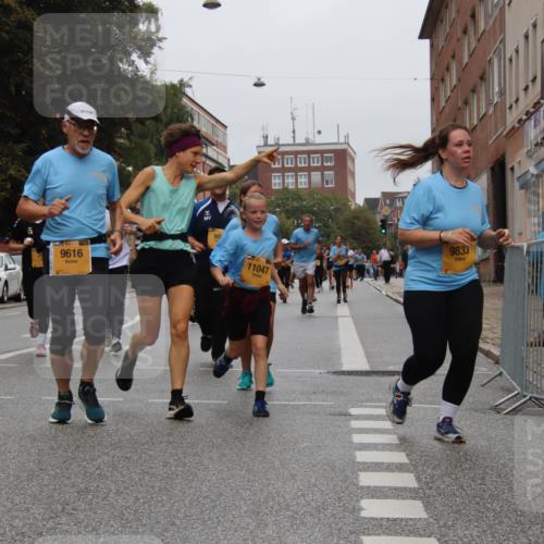 13.09.2026 - Kiel Lauf Markus Tischler http://msf.ph/oto/10452642 13.09.2026 09:50:44 Fleethörn 6138, 39, 9616, 95, 11047, 9833 meine-sportfotos.de