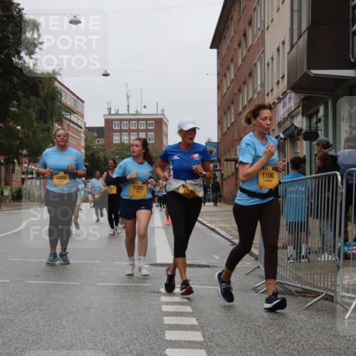 13.09.2026 - Kiel Lauf Markus Tischler http://msf.ph/oto/10452663 13.09.2026 09:50:57 Fleethörn 4883, 11444, 7302, 66, 1100 meine-sportfotos.de