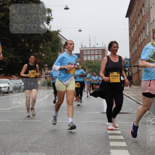 13.09.2026 - Kiel Lauf Markus Tischler http://msf.ph/oto/10452677 13.09.2026 09:51:04 Fleethörn 02, 39, 11494, 1309, 11444, 12068 meine-sportfotos.de