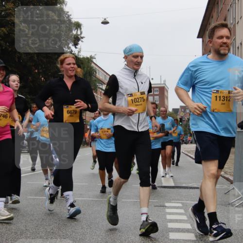 13.09.2026 - Kiel Lauf Markus Tischler http://msf.ph/oto/10452783 13.09.2026 09:51:42 Fleethörn 107461, 1025, 39, 6679, 171, 38, 10275, 38, 11312 meine-sportfotos.de