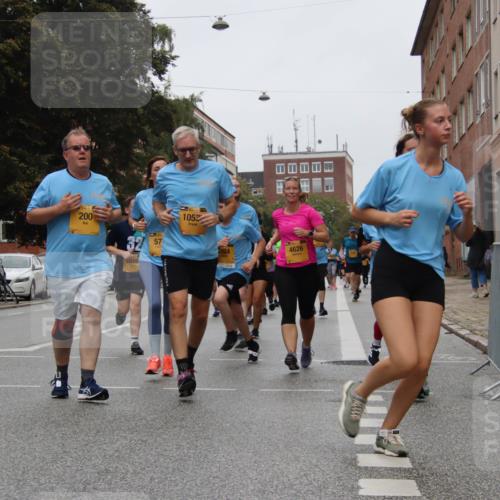 13.09.2026 - Kiel Lauf Markus Tischler http://msf.ph/oto/10452905 13.09.2026 09:52:26 Fleethörn 200, 57, 1052, 2924, 4626 meine-sportfotos.de