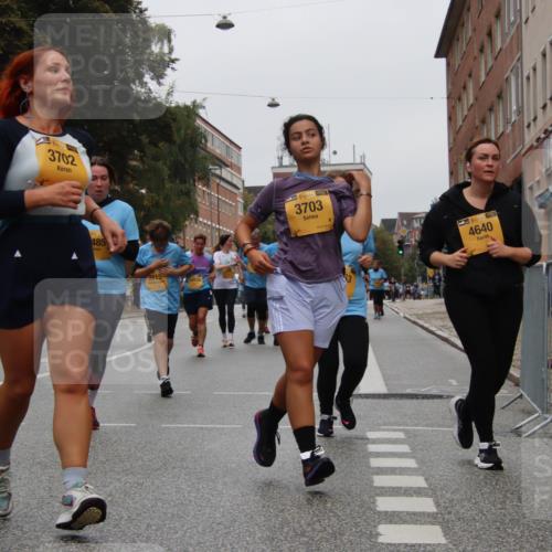 13.09.2026 - Kiel Lauf Markus Tischler http://msf.ph/oto/10453102 13.09.2026 09:53:20 Fleethörn 3702, 485, 2815, 3703, 38, 4640 meine-sportfotos.de