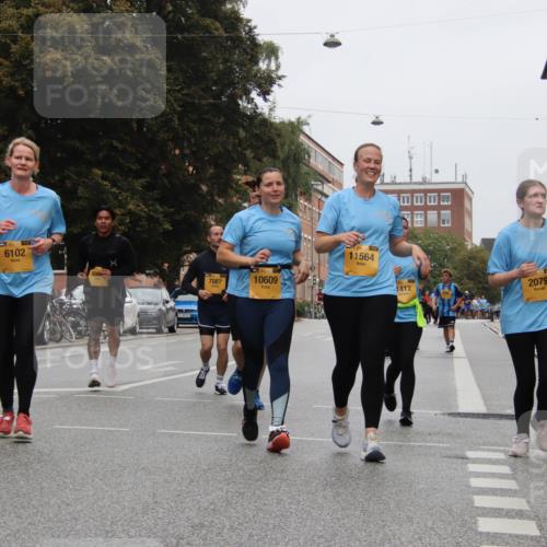 13.09.2026 - Kiel Lauf Markus Tischler http://msf.ph/oto/10453188 13.09.2026 09:53:53 Fleethörn 6102, 7087, 10609, 11564, 1412, 2079 meine-sportfotos.de