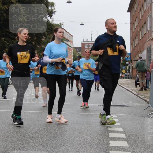 13.09.2026 - Kiel Lauf Markus Tischler http://msf.ph/oto/10453249 13.09.2026 09:54:28 Fleethörn 39, 2186, 412 meine-sportfotos.de